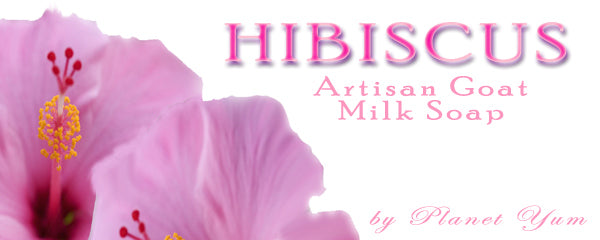 Hibiscus Artisan Goat Milk Soap