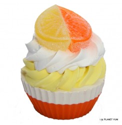Oranges & Lemons Cupcake Soap